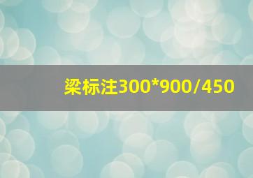 梁标注300*900/450