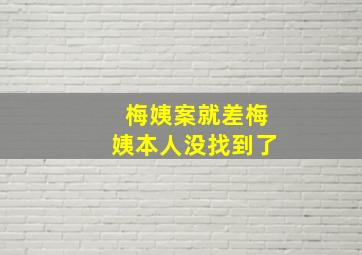 梅姨案就差梅姨本人没找到了