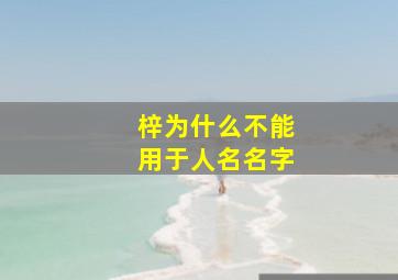 梓为什么不能用于人名名字