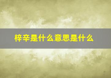 梓辛是什么意思是什么