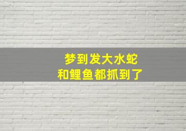 梦到发大水蛇和鲤鱼都抓到了