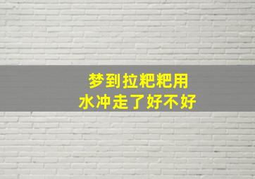 梦到拉粑粑用水冲走了好不好