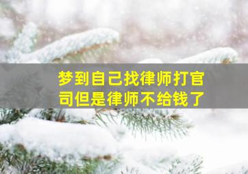 梦到自己找律师打官司但是律师不给钱了