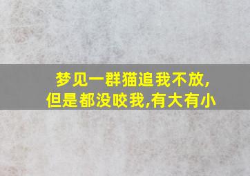 梦见一群猫追我不放,但是都没咬我,有大有小