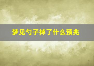 梦见勺子掉了什么预兆