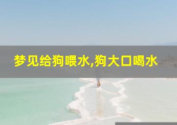 梦见给狗喂水,狗大口喝水