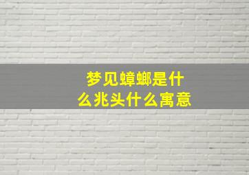 梦见蟑螂是什么兆头什么寓意