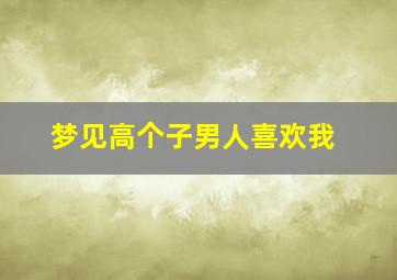 梦见高个子男人喜欢我