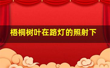 梧桐树叶在路灯的照射下