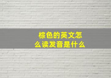 棕色的英文怎么读发音是什么