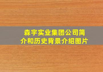 森宇实业集团公司简介和历史背景介绍图片