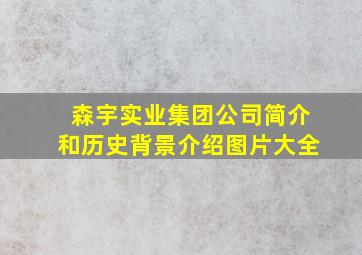 森宇实业集团公司简介和历史背景介绍图片大全