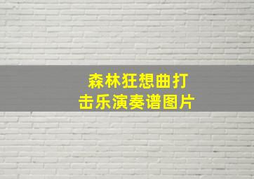 森林狂想曲打击乐演奏谱图片