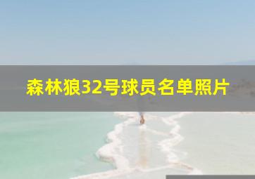 森林狼32号球员名单照片