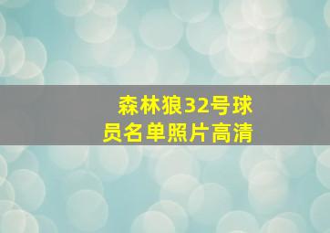 森林狼32号球员名单照片高清