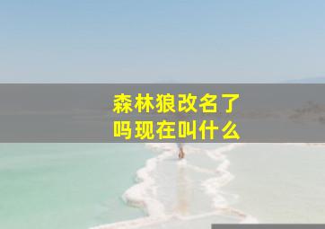 森林狼改名了吗现在叫什么