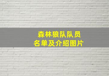 森林狼队队员名单及介绍图片