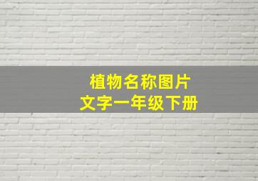 植物名称图片文字一年级下册