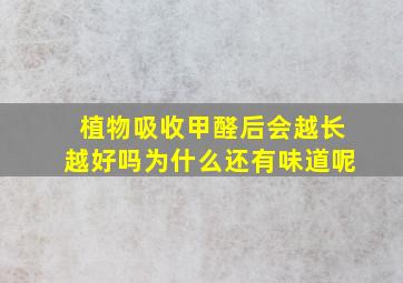 植物吸收甲醛后会越长越好吗为什么还有味道呢