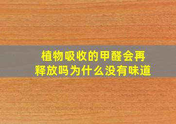 植物吸收的甲醛会再释放吗为什么没有味道