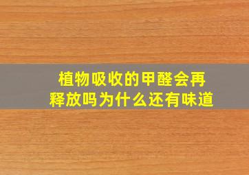 植物吸收的甲醛会再释放吗为什么还有味道