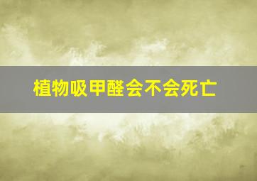 植物吸甲醛会不会死亡