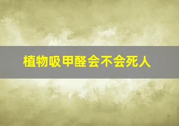 植物吸甲醛会不会死人