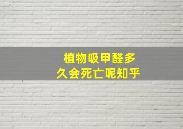 植物吸甲醛多久会死亡呢知乎