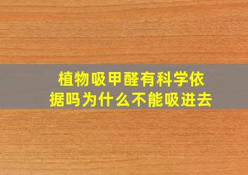 植物吸甲醛有科学依据吗为什么不能吸进去