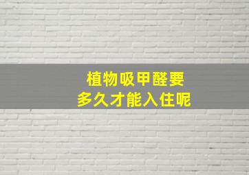 植物吸甲醛要多久才能入住呢