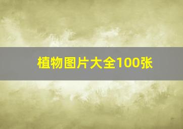 植物图片大全100张