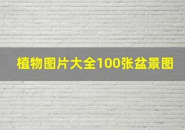 植物图片大全100张盆景图