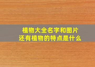 植物大全名字和图片还有植物的特点是什么