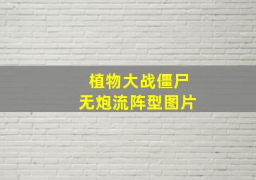 植物大战僵尸无炮流阵型图片