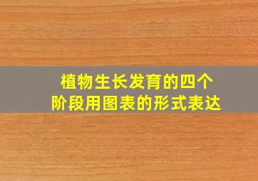 植物生长发育的四个阶段用图表的形式表达