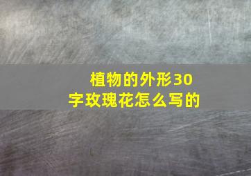 植物的外形30字玫瑰花怎么写的