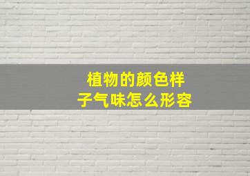 植物的颜色样子气味怎么形容