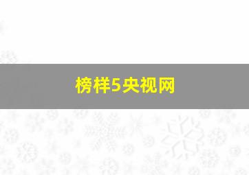 榜样5央视网