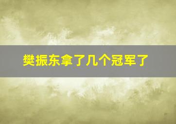 樊振东拿了几个冠军了