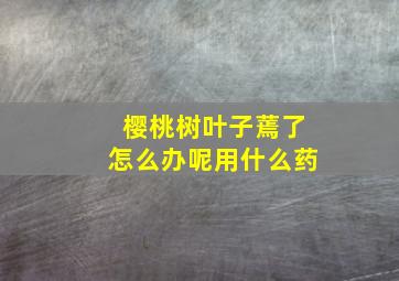 樱桃树叶子蔫了怎么办呢用什么药