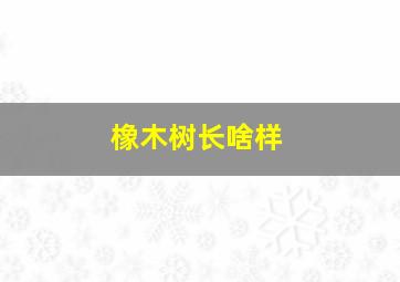 橡木树长啥样