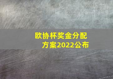 欧协杯奖金分配方案2022公布