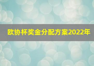 欧协杯奖金分配方案2022年