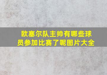 欧塞尔队主帅有哪些球员参加比赛了呢图片大全