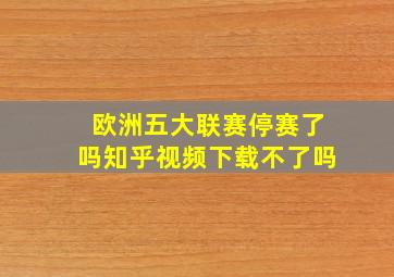 欧洲五大联赛停赛了吗知乎视频下载不了吗