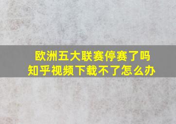 欧洲五大联赛停赛了吗知乎视频下载不了怎么办