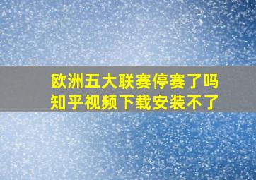 欧洲五大联赛停赛了吗知乎视频下载安装不了