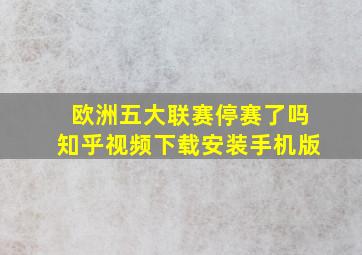 欧洲五大联赛停赛了吗知乎视频下载安装手机版