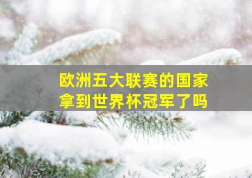 欧洲五大联赛的国家拿到世界杯冠军了吗