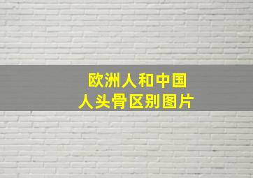 欧洲人和中国人头骨区别图片